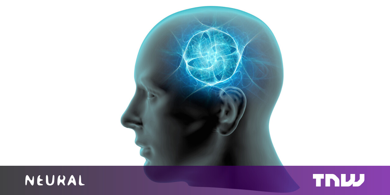 photo of What would happen if we connected the human brain to a quantum computer? image