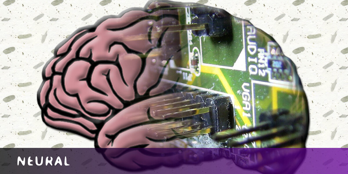 New MIT brain research shows how AI can help us understand our consciousness