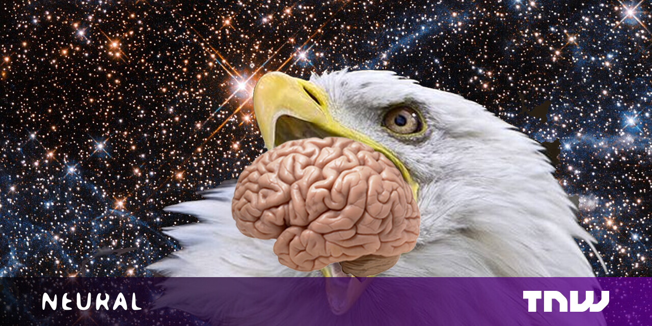 #What happens if we put a ‘sentient’ AI inside of a lab-grown brain?