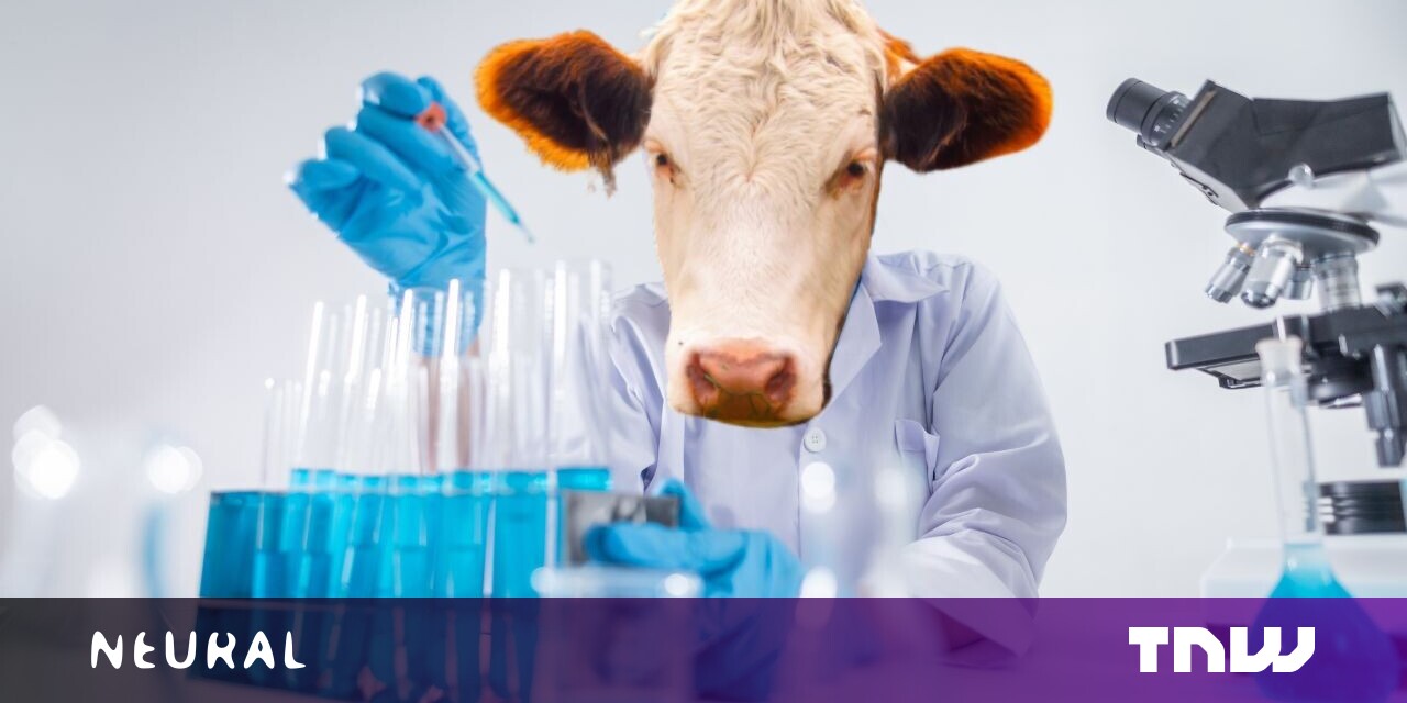 #The Dutch pioneered lab-grown meat. Why can’t they eat it?