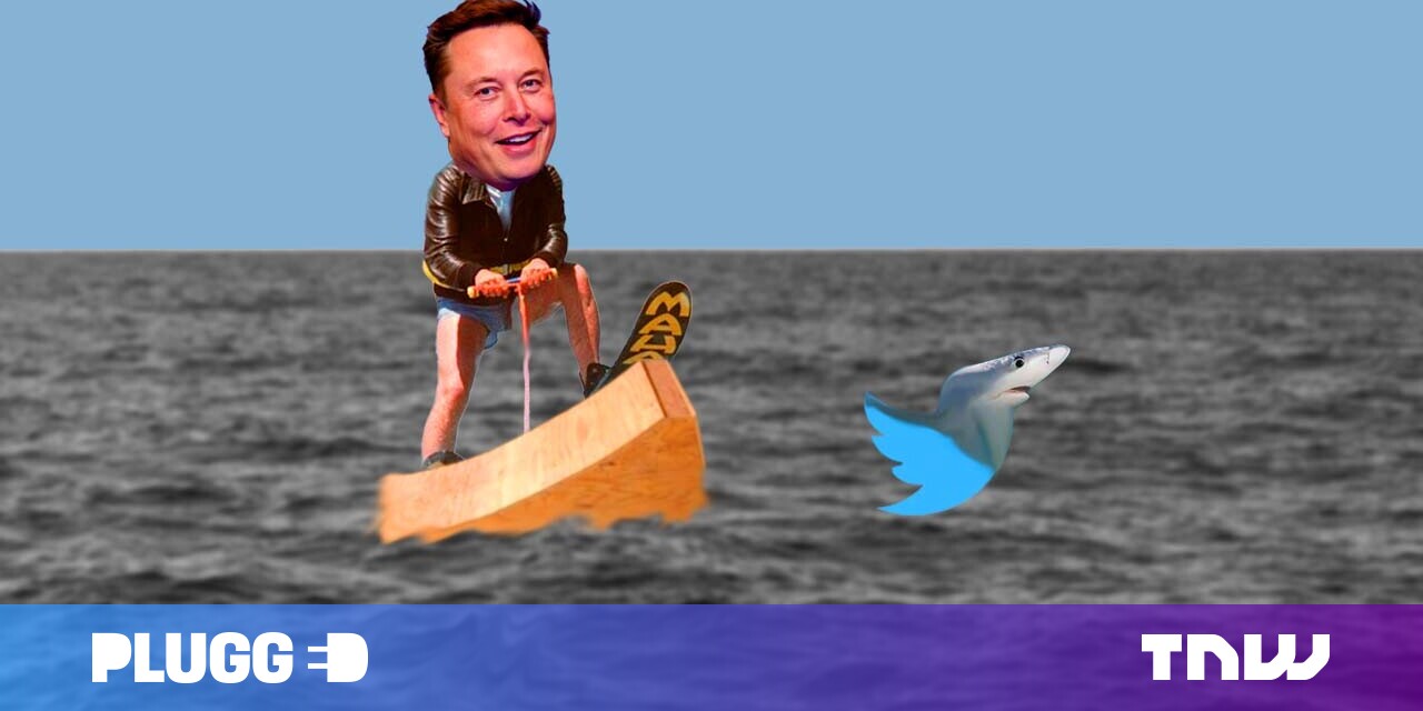 All of Elon Musk's ideas for making money with Twitter