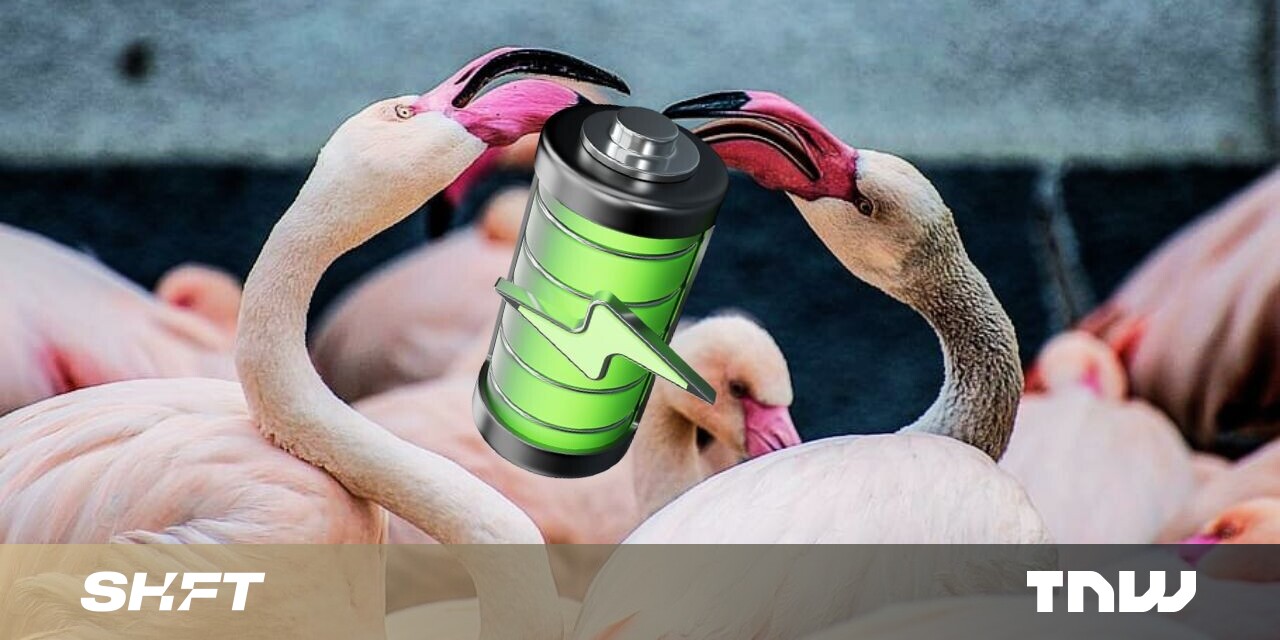 photo of Mining lithium for EV batteries is decimating flamingos image