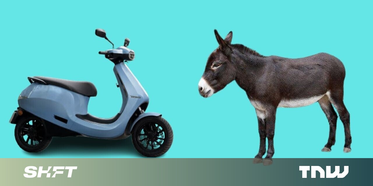 photo of Pray for the man who paraded an Ola scooter through town with a donkey image