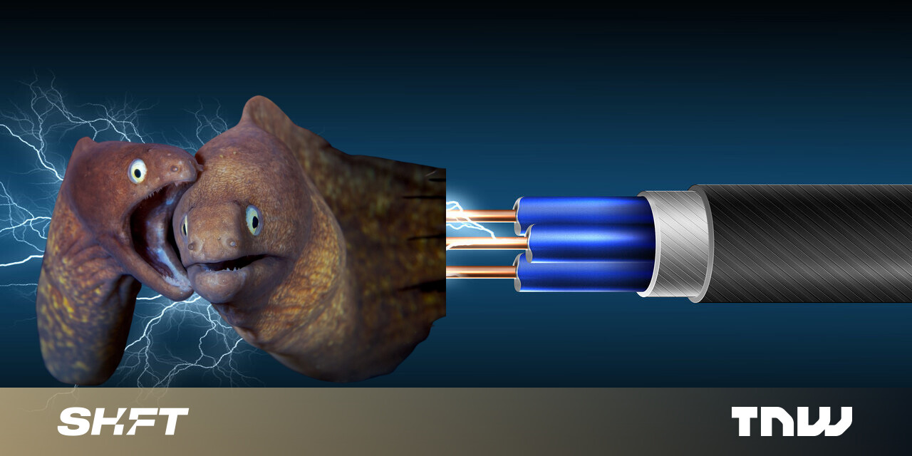 Obrigado, enguias elétricas, sem vocês nossas baterias seriam uma droga Obrigado, enguias elétricas, sem vocês nossas baterias seriam uma droga