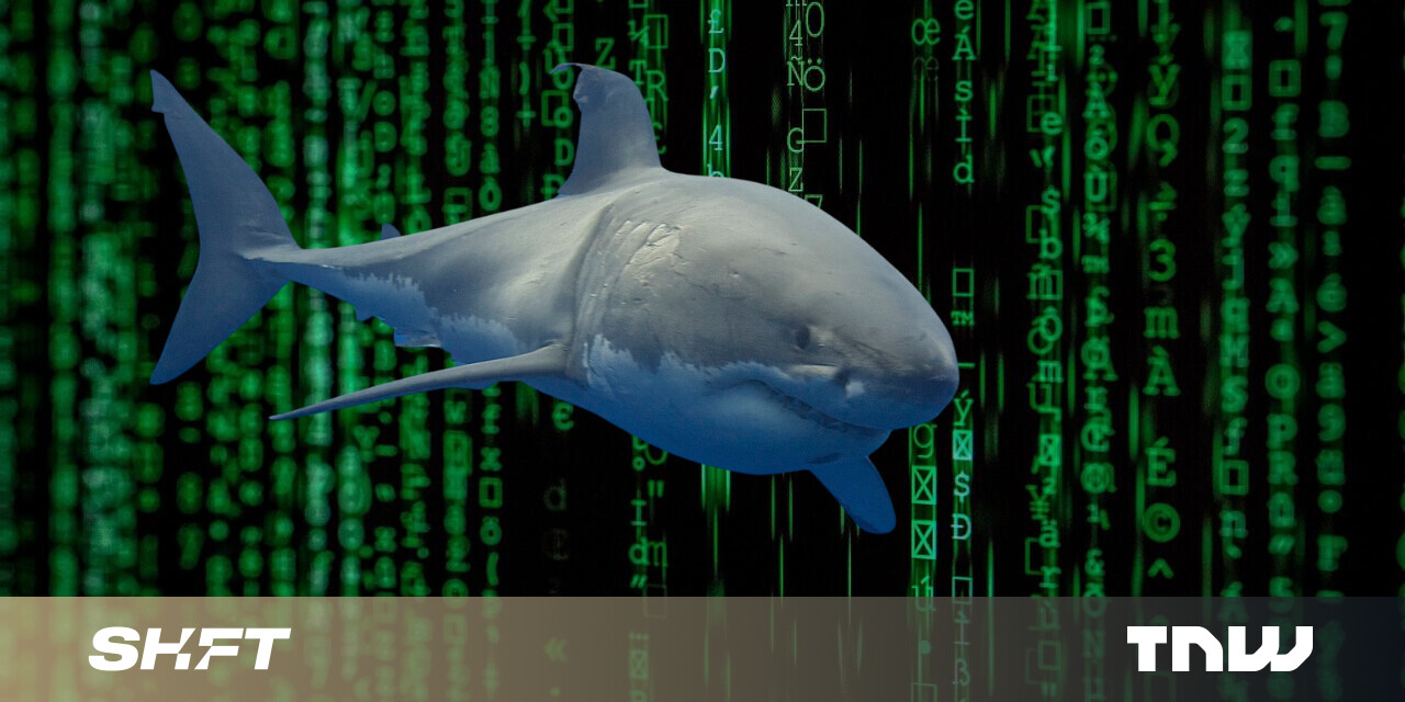 #How tech can help prevent shark bites and keep beaches open