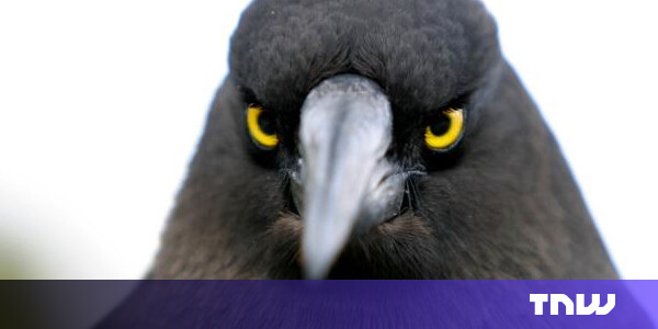 Christmas was Angry Birds’ biggest day ever with over 1 million downloads