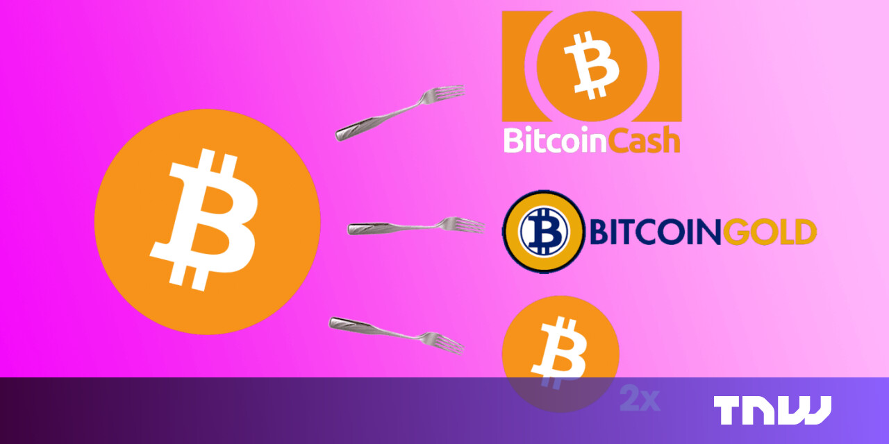 The ultimate plain-English guide to Bitcoin forks