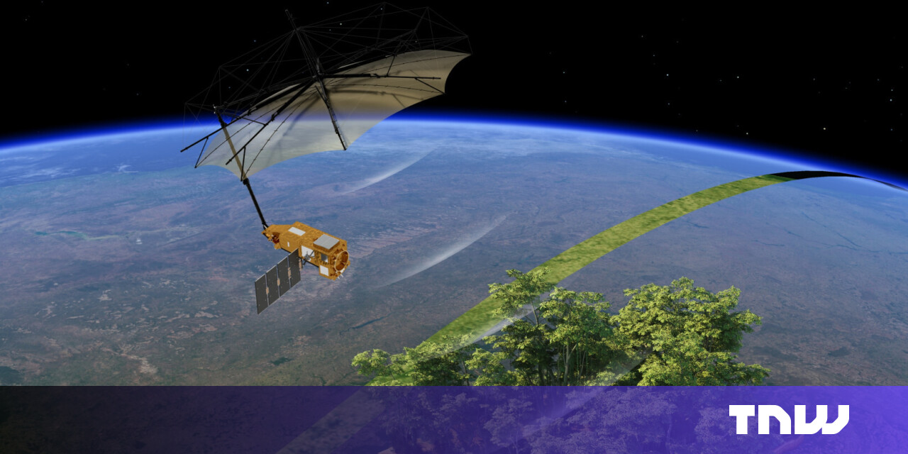 'Space umbrella' returns first striking images of Earth's forests