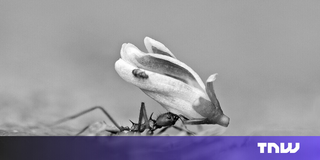 Kupando raises €10M more to take its immunity drug into the clinic