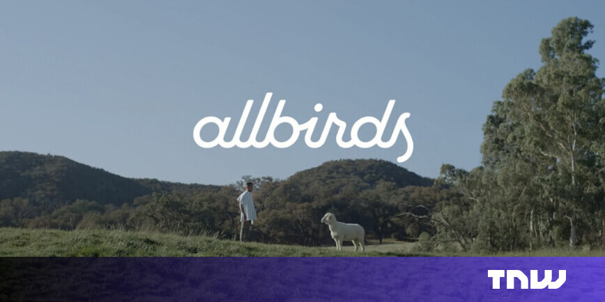 Allbirds is selling all its assets for $39M