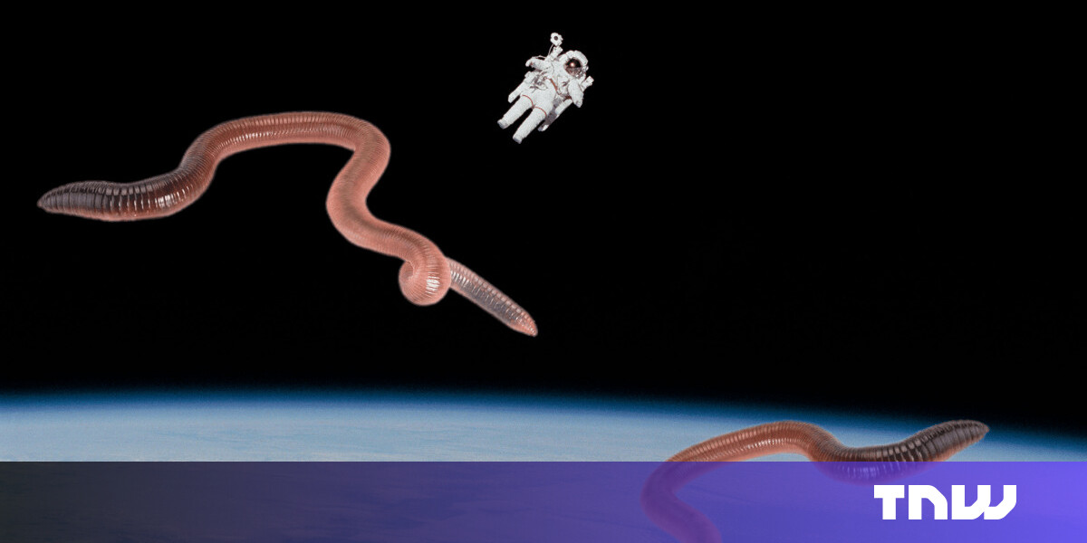 Here’s why NASA is sending worms to space