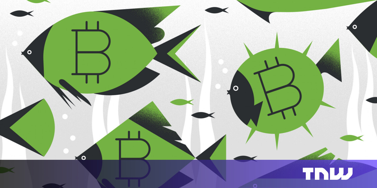 A deep dive into Bitcoin – and what makes it better than ‘real money’