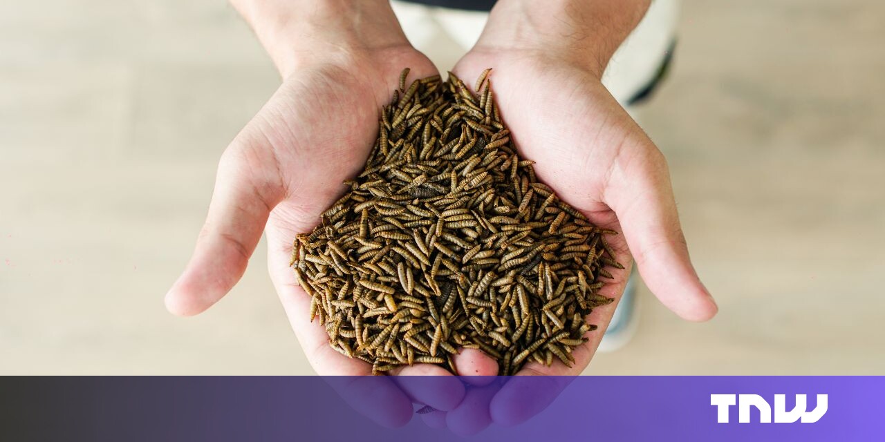 #Insect farming startup targets pet food as gateway to human grub