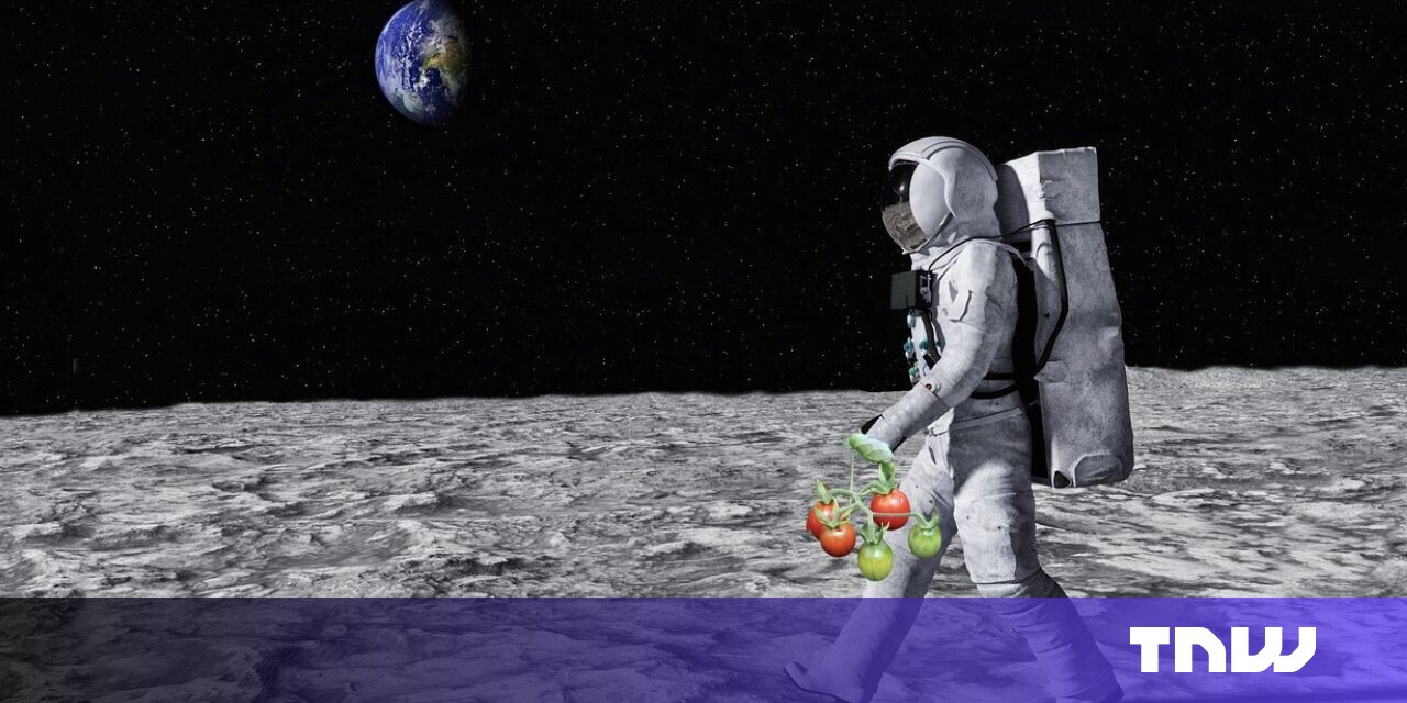 #European Space Agency unveils new plan for growing plants on the Moon