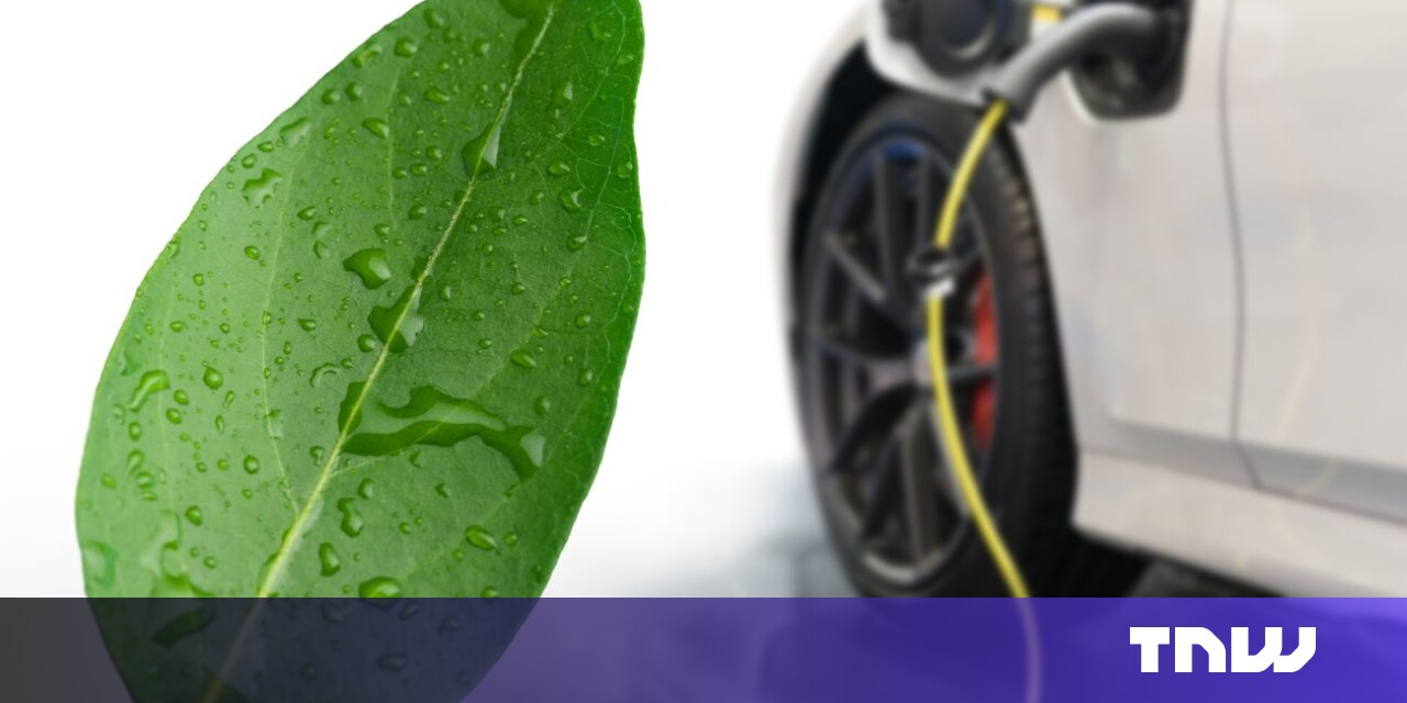 #Scientists develop ‘artificial leaf’ that could power the cars of the future
