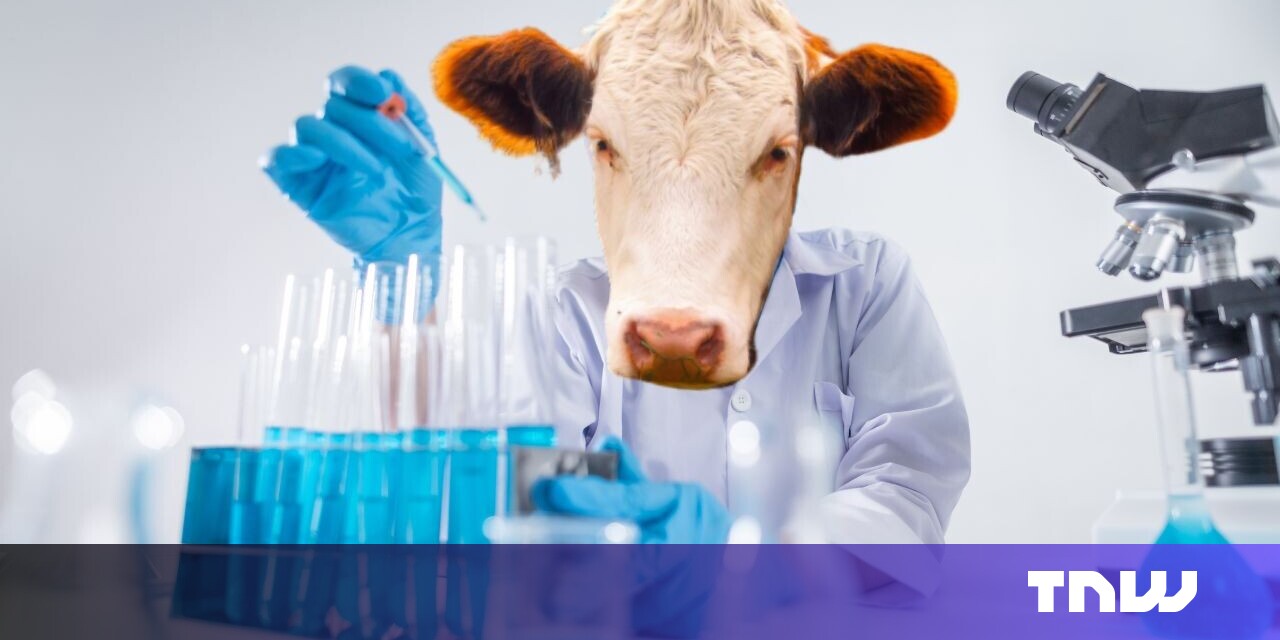 US approval for cultivated meat ‘provides a framework’ for Europe US approval for cultivated meat ‘provides a framework’ for Europe