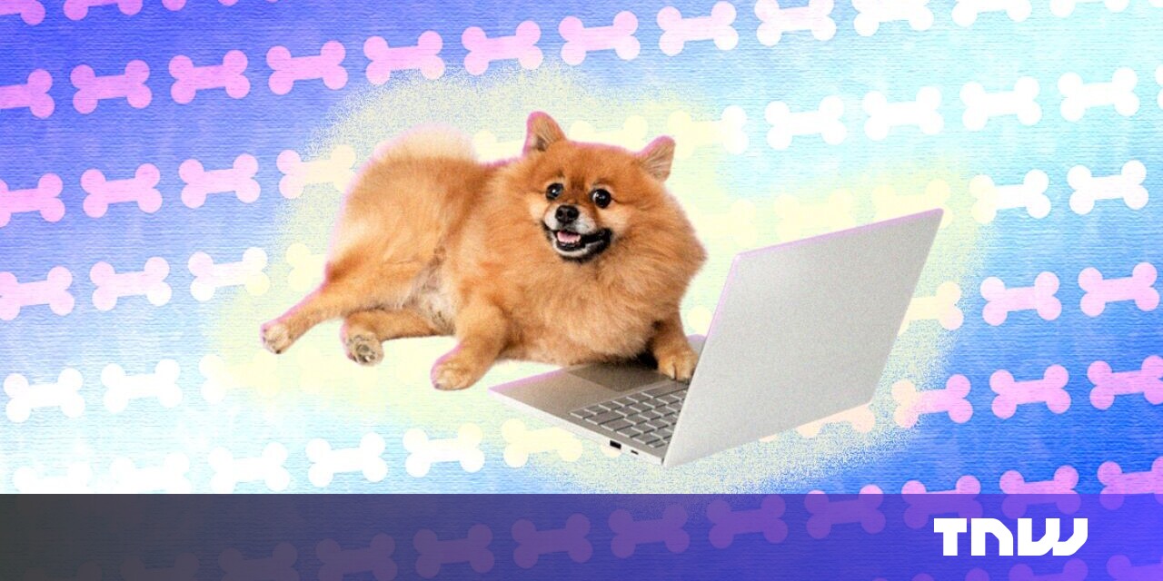 How to apply for a job you’re not fully qualified for How to apply for a job you’re not fully qualified for