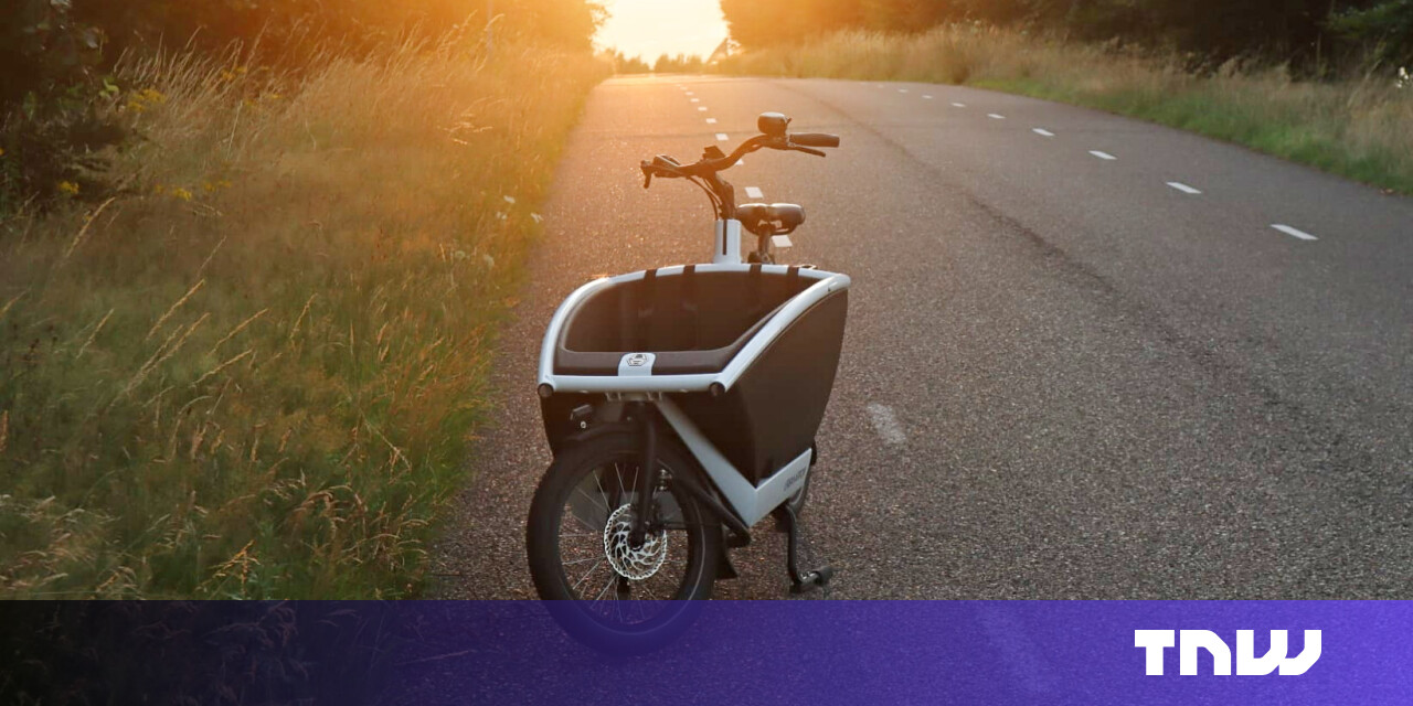 I swapped my car for an electric cargo bike I swapped my car for an electric cargo bike