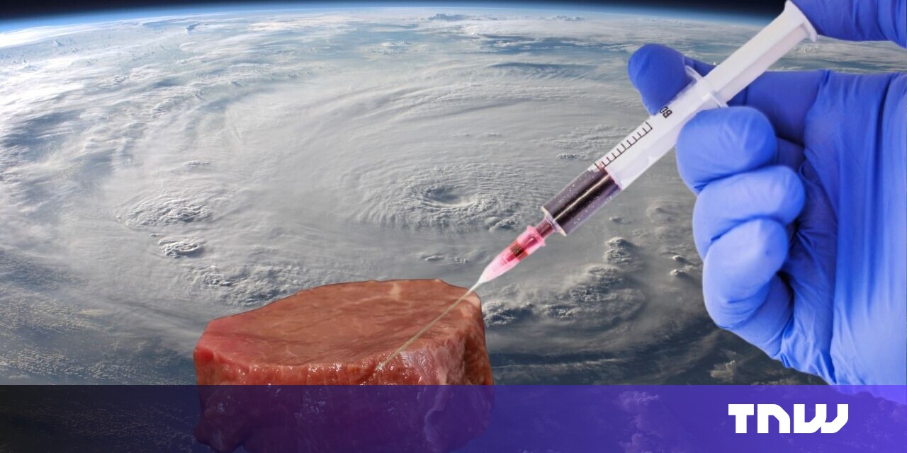 Cultivated meat is a ‘promising’ space food for astronauts, ESA says Cultivated meat is a ‘promising’ space food for astronauts, ESA says