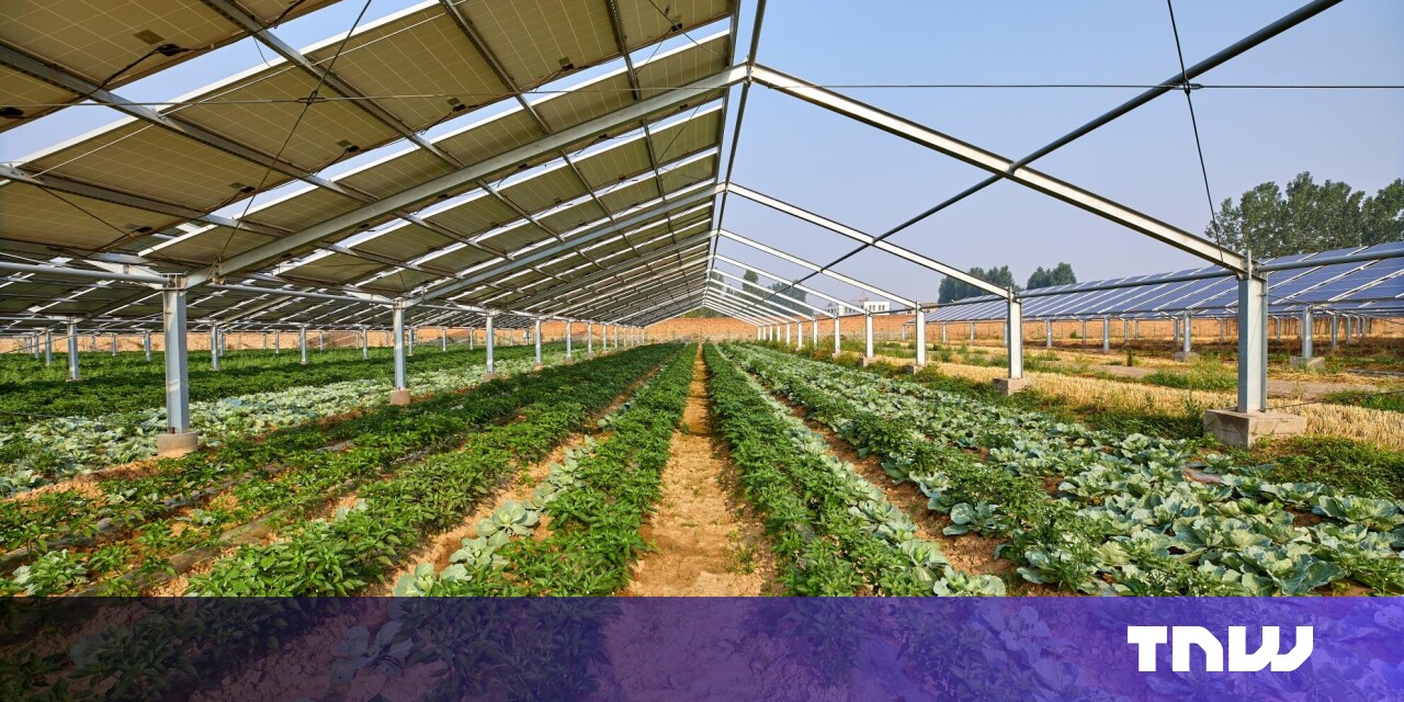 EU backs new project that combines solar power with agriculture EU backs new project that combines solar power with agriculture