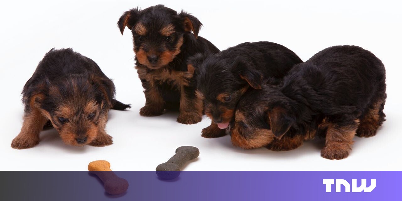 Your pets can now eat meat that’s ‘grown’ in a lab Your pets can now eat meat that’s ‘grown’ in a lab