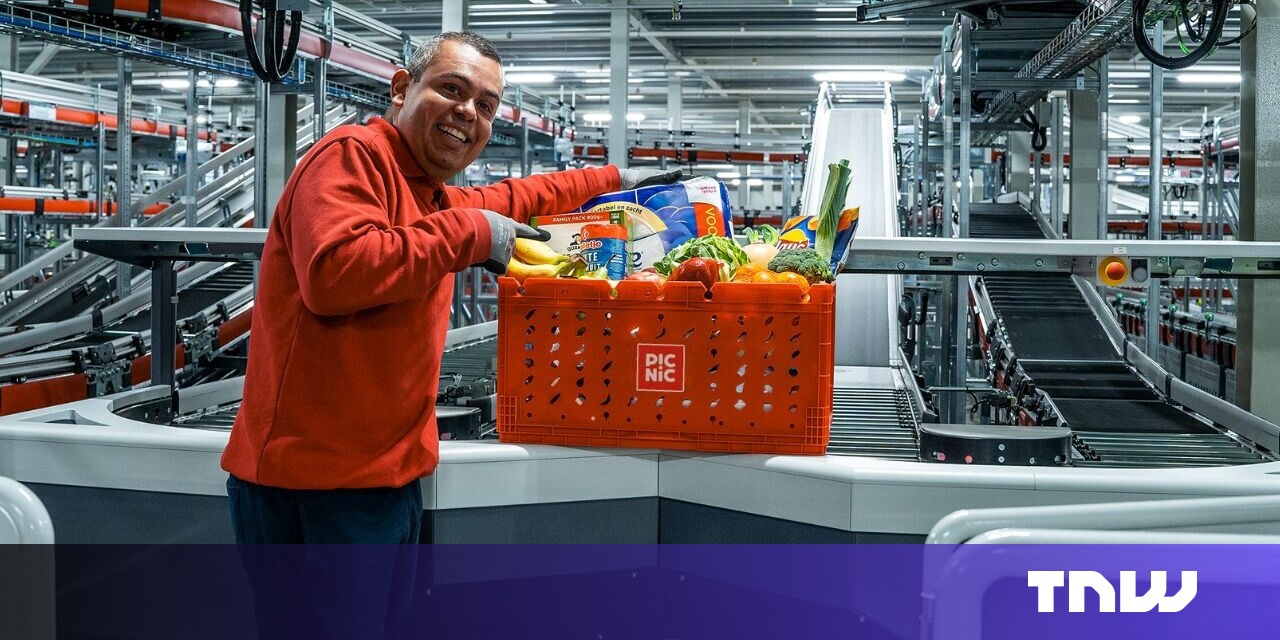 سوپرمارکت آنلاین هلندی کیسه های پیک نیک ۳۵۵ میلیون یورو پس از گسترش بین المللی