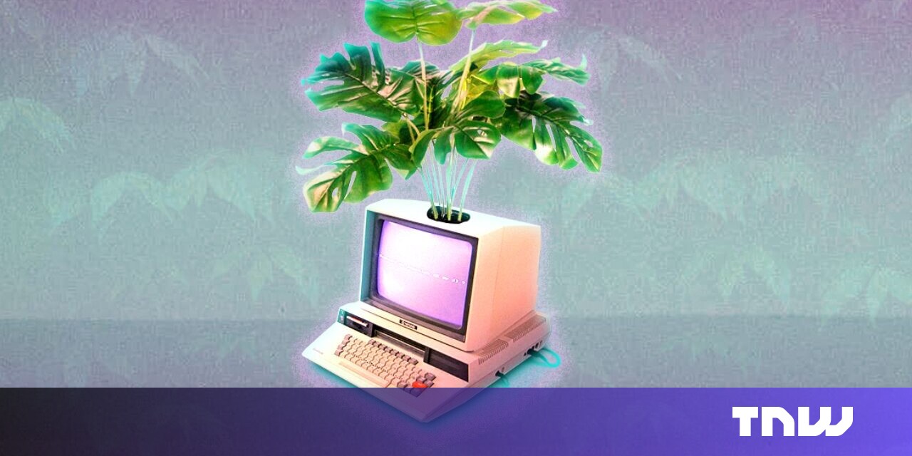 Why Zig has become the highest-paying programming language Why Zig has become the highest-paying programming language