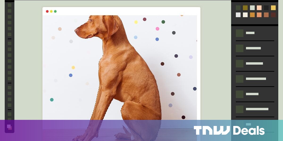 Learn the Basics of Photoshop with 20% off This Video Course