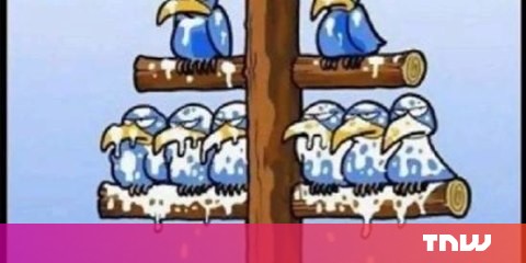 Crow Talking Over Little Bird Meme Template Album On Imgur
