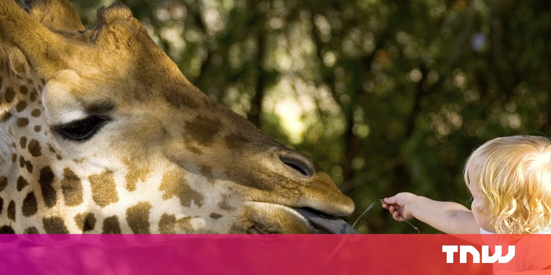 Google Maps Street View Adds Zoos And Animal Parks
