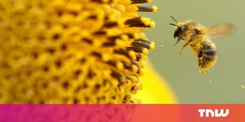 Bloom Fm To Shut Down Its Music Streaming Service In The Uk