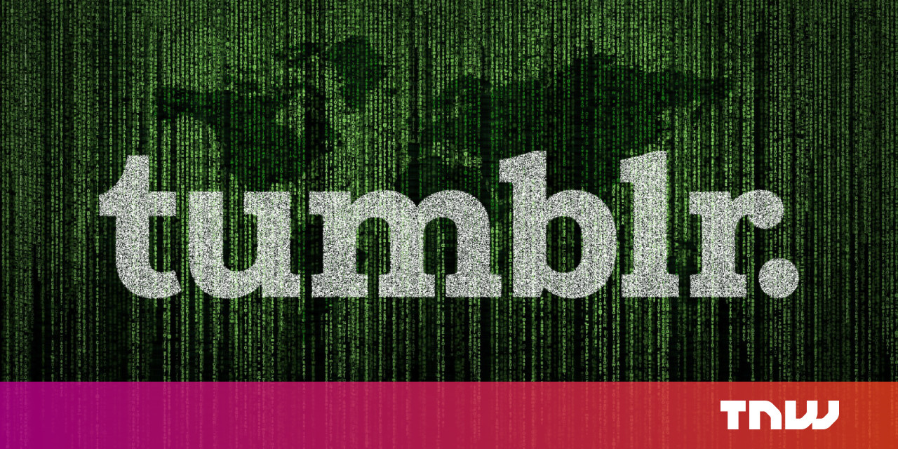 Reddit S Data Hoarders Are Frantically Trying To Save Tumblr S Nsfw Content