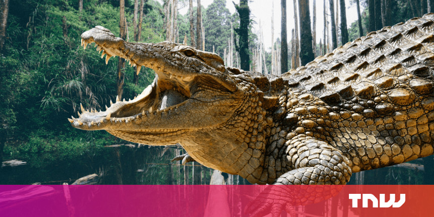 Climate Change Created Today S Huge Crocodiles