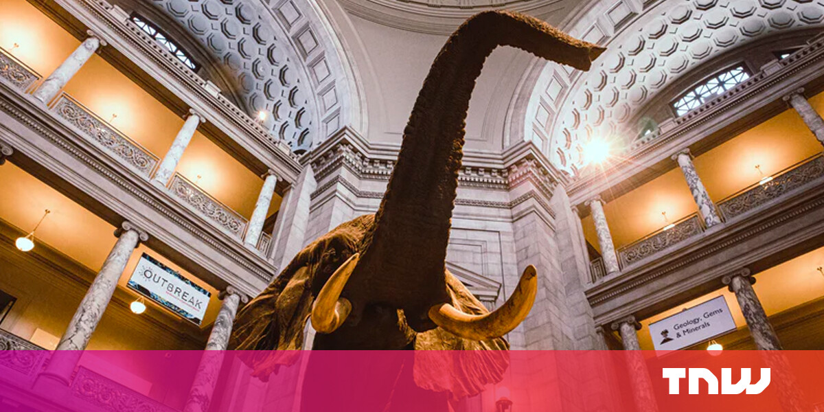 photo of Night at the Museum brought to life by new mixed reality tech image