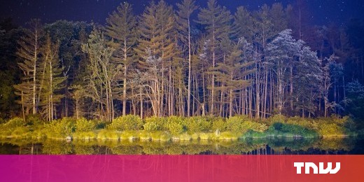 Create Your Own Android Live Wallpapers With Murtastic Create Your Own Android Live Wallpapers With Murtastic