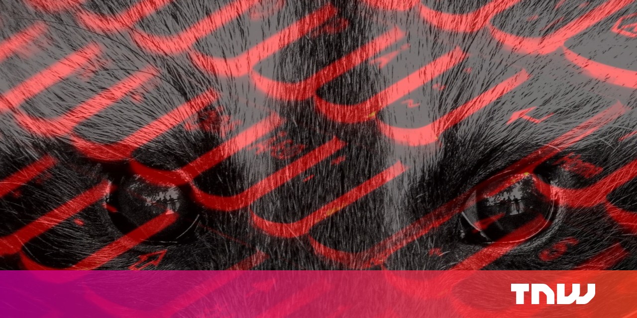 Hackers are now selling 'Raccoon' data-stealing malware as a $200