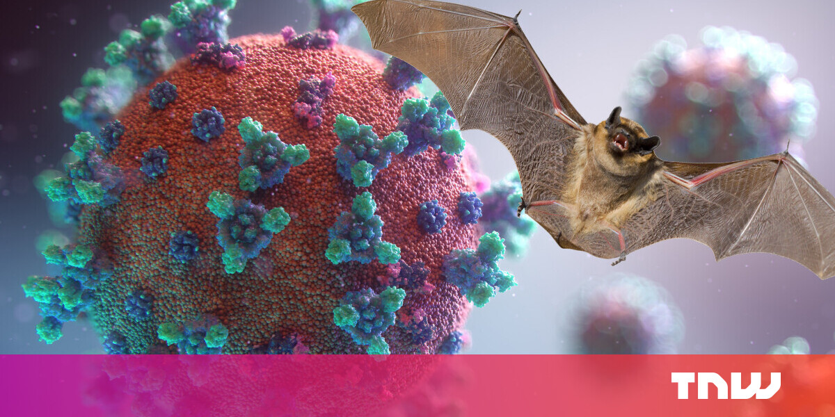 Coronavirus: Epidemiologist debunks 3 myths about how animals transmit