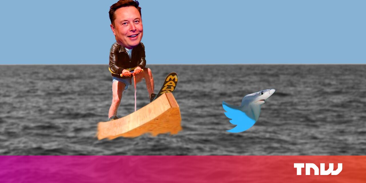Elon Musk salta o tubarão Elon Musk salta o tubarão