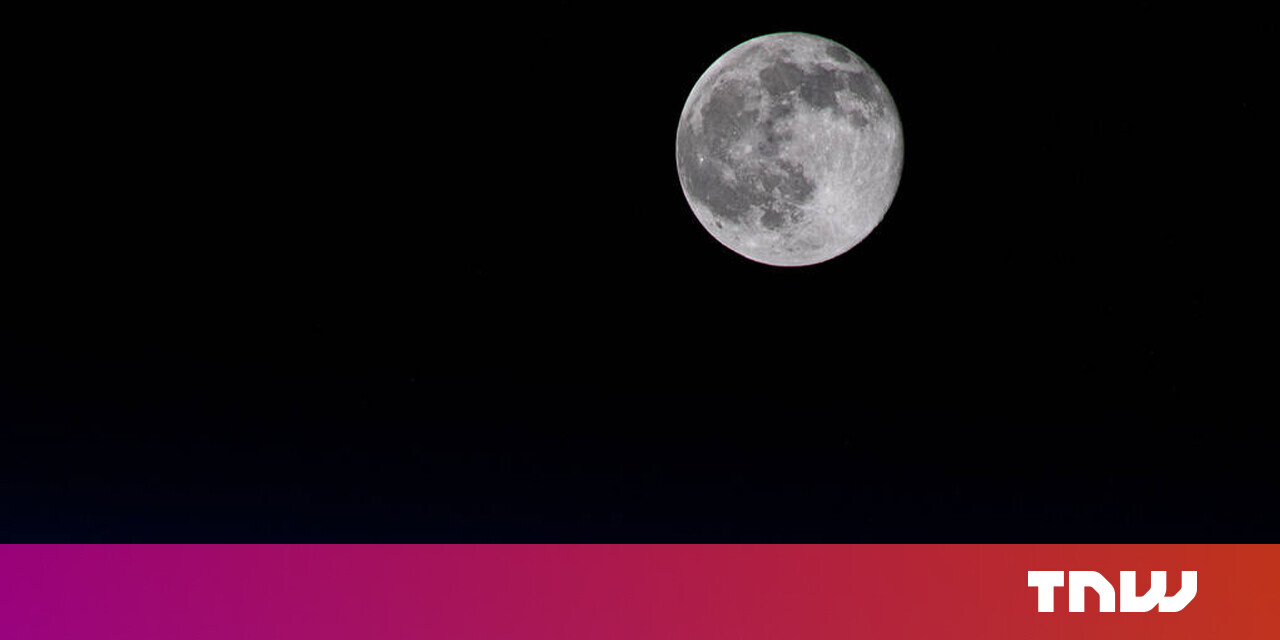 #Study suggests you may be able to grow plants on the Moon