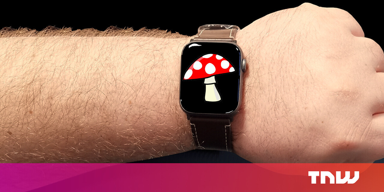 #Your next wearable gadget could be mushroom-powered