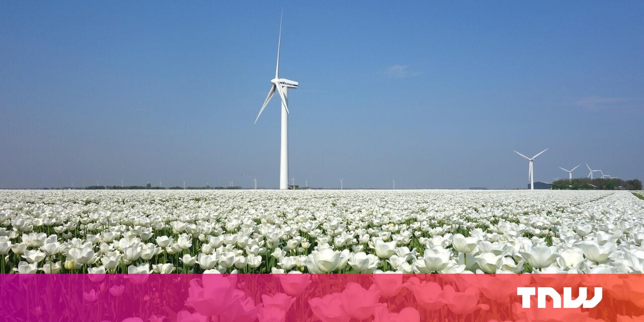 #The Netherlands is the ideal breeding ground for green tech startups