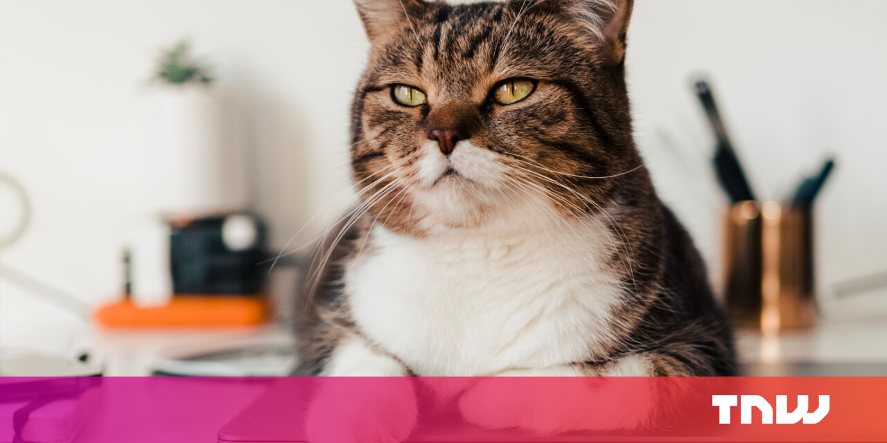 #Quiet quitting is comforting — quitting is liberating