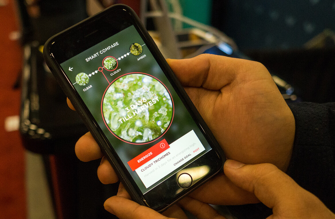 Snaphash is an augmented reality weed doctor for your iPhone
