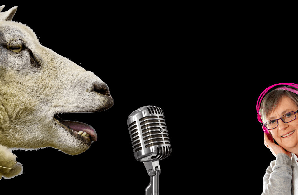 Why brands need to get into ‘voice’ in 2018