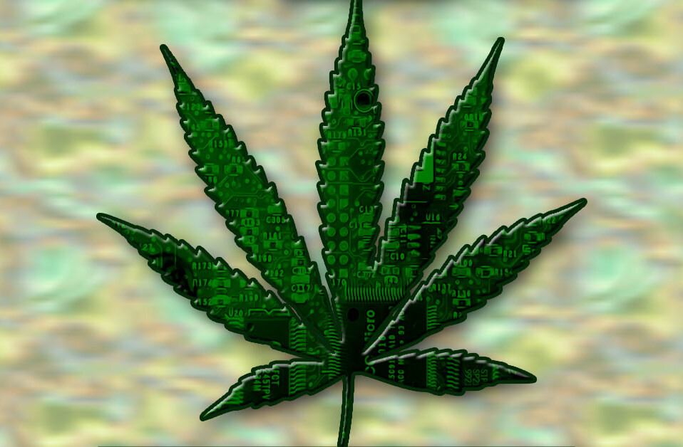 Online resources for US voters who care about cannabis reform