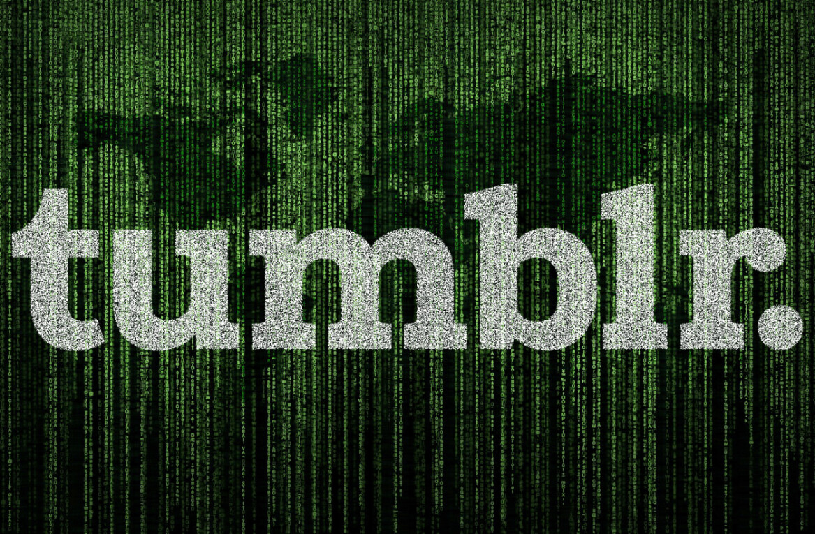 Reddit’s data hoarders are frantically trying to save Tumblr’s NSFW content