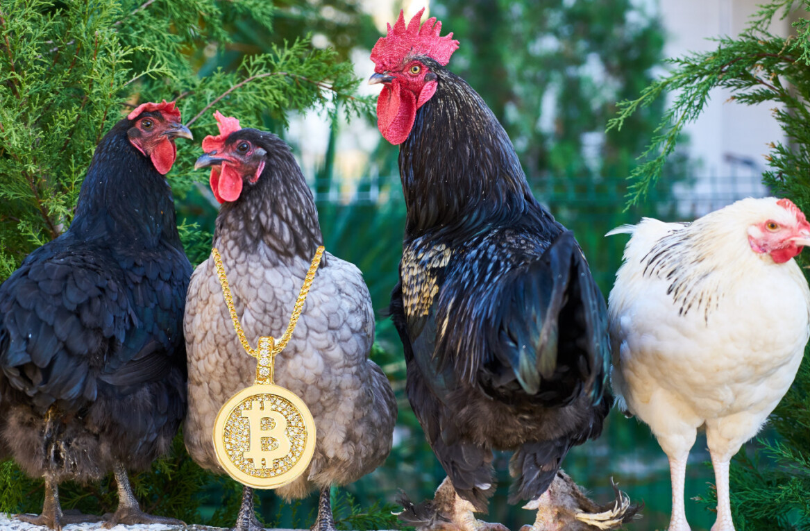 JD.com says putting chickens on the blockchain was great for business