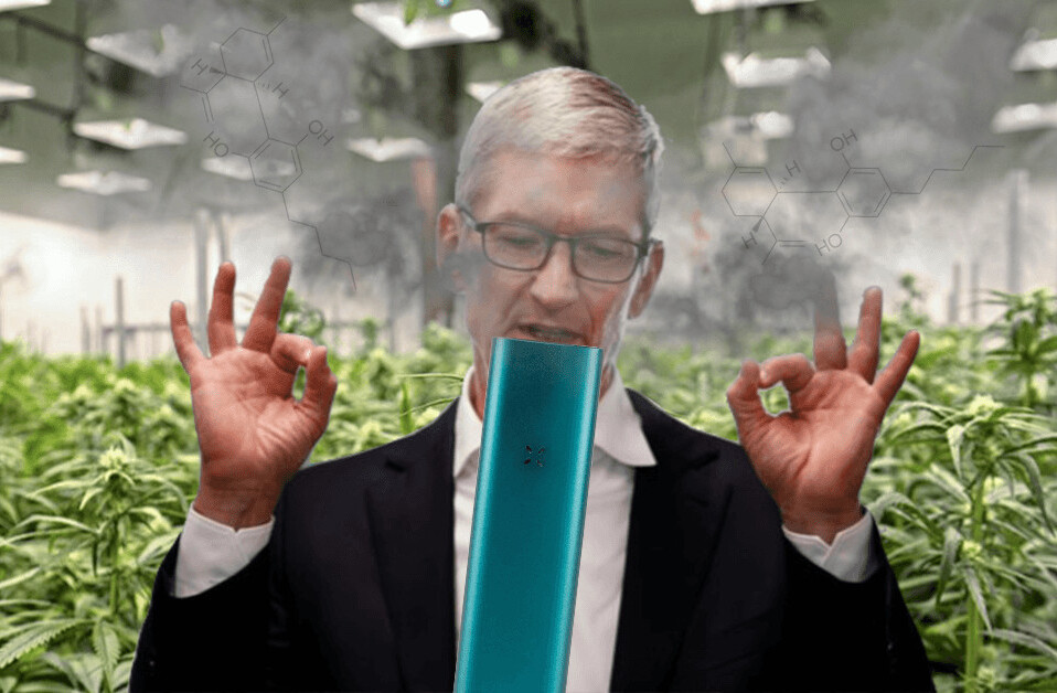 PAX wants to be the Apple of weed vapes – and CBD might be the key