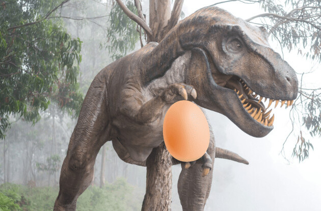 Dinosaur egg bonanza gives vital clues about prehistoric parenting