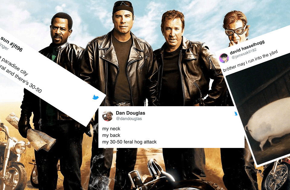 The ‘feral hog’ meme encapsulates the best side of the internet